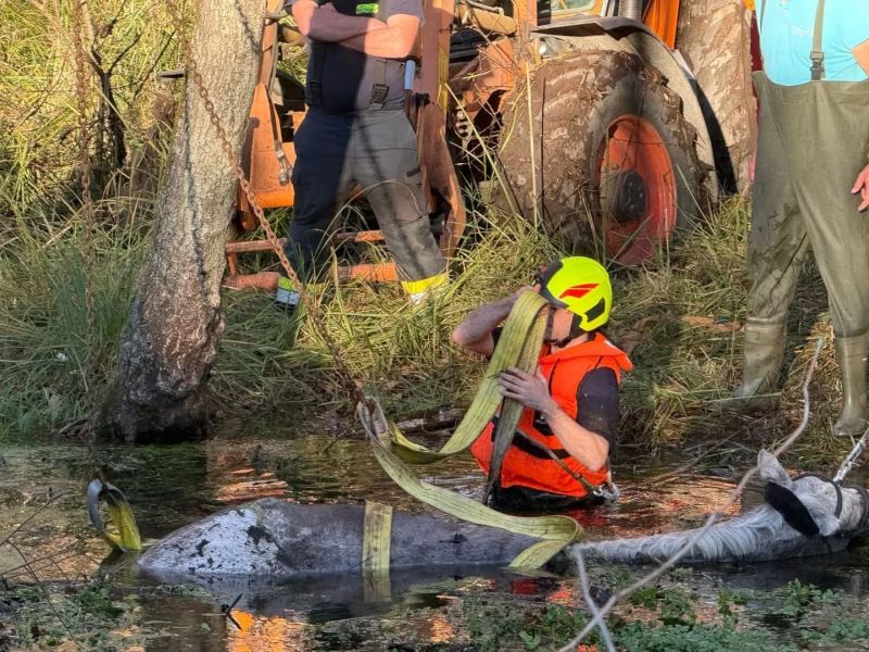 2025_11_04_tierrettung_werndorf