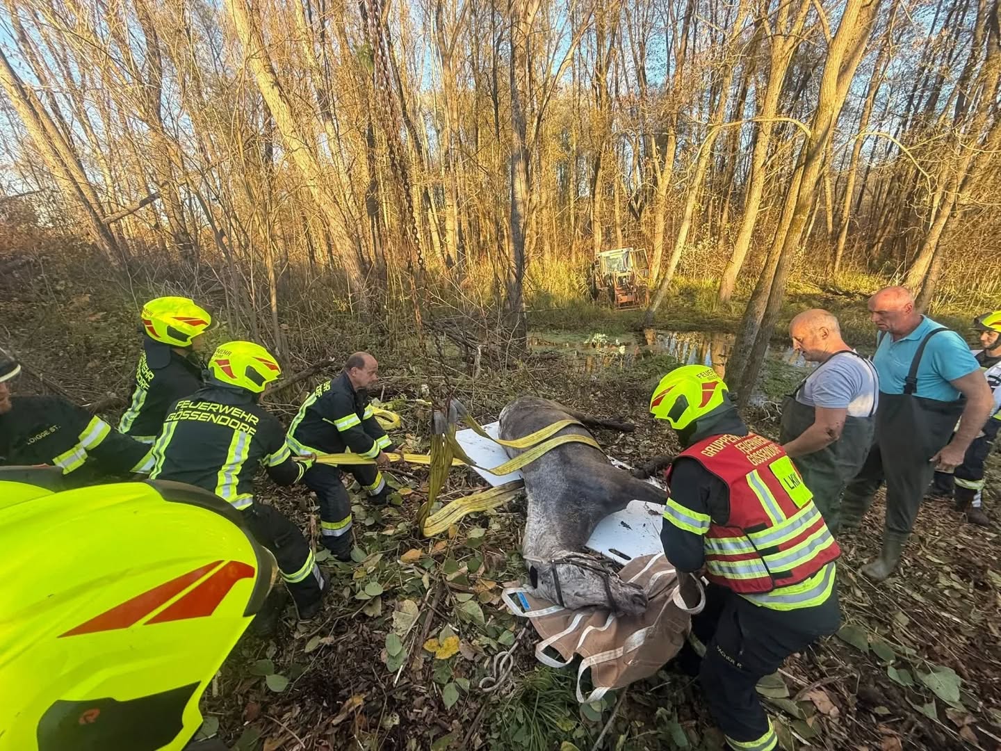 2025 11 04 tierrettung werndorf08