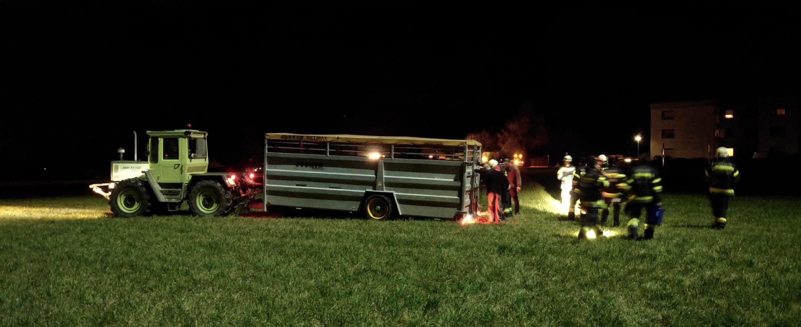 FFG 2025 11 16 Kuh Weisskirchen 4