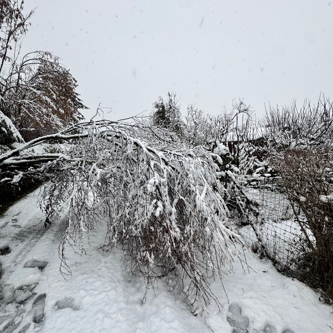 20 02 2026 bienenweg unwetter 3