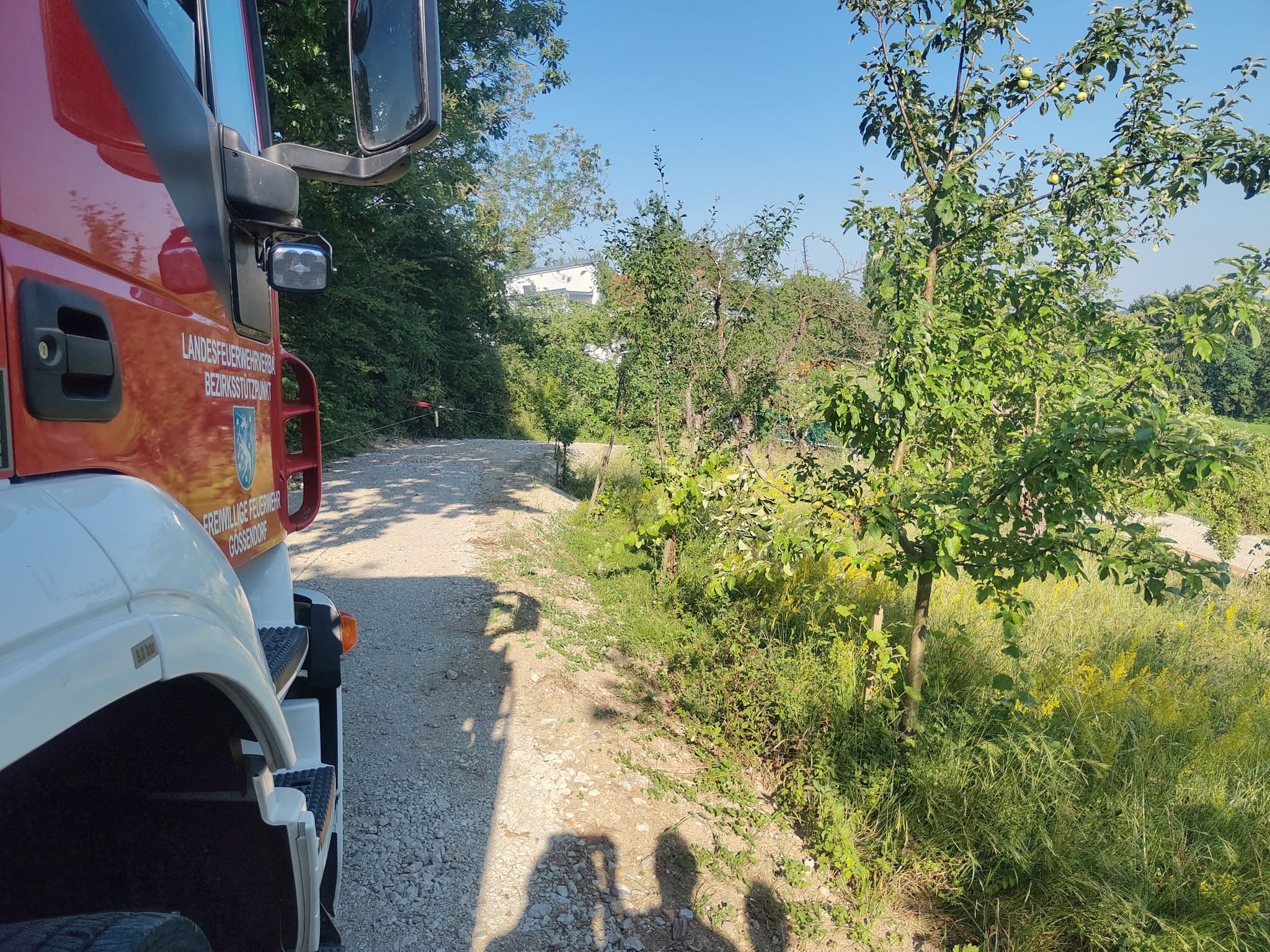 einsatz ffg 29 06 2026